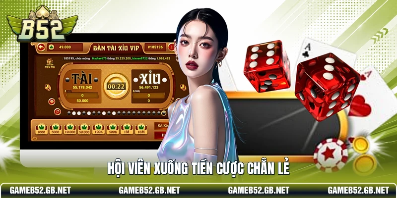 Hội viên xuống tiền cược chẵn lẻ